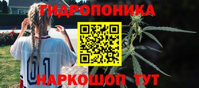 гидра Дубна