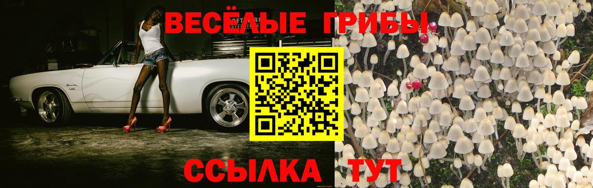 Псилоцибиновые грибы прущие грибы  Вход с VPN  как найти закладки  Лабытнанги 