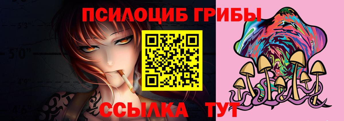 Галлюциногенные грибы Cubensis Лабытнанги